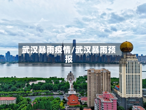 武汉暴雨疫情/武汉暴雨预报-第3张图片