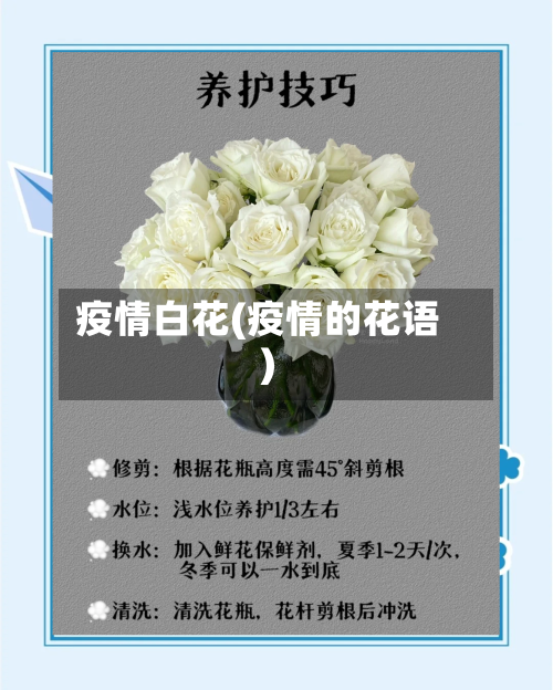 疫情白花(疫情的花语)-第1张图片
