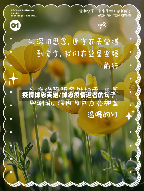 疫情悼念英雄/悼念疫情逝者的句子-第1张图片