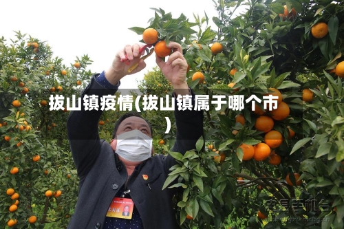 拔山镇疫情(拔山镇属于哪个市)-第1张图片