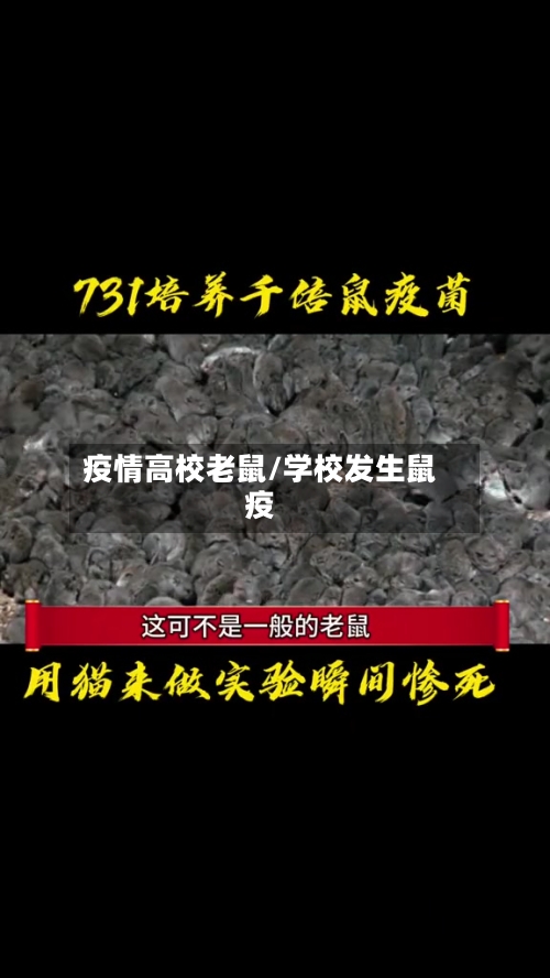 疫情高校老鼠/学校发生鼠疫-第3张图片