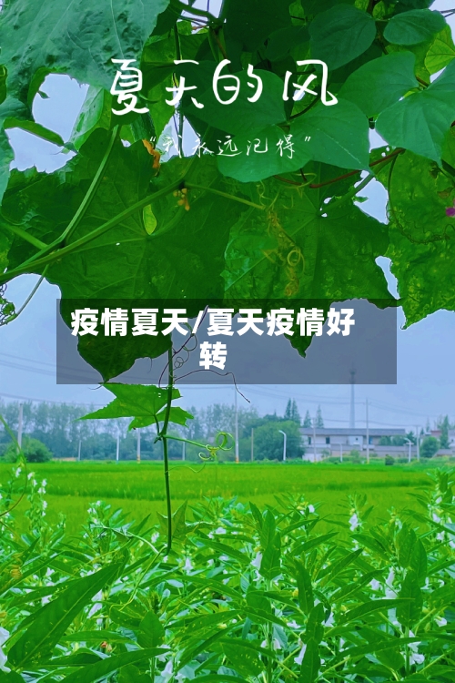 疫情夏天/夏天疫情好转-第1张图片