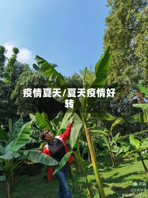 疫情夏天/夏天疫情好转-第2张图片