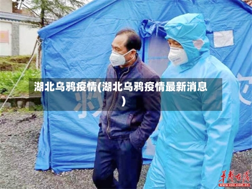 湖北乌鸦疫情(湖北乌鸦疫情最新消息)-第1张图片