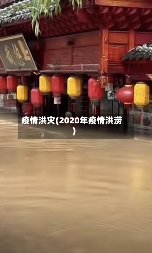 疫情洪灾(2020年疫情洪涝)-第2张图片