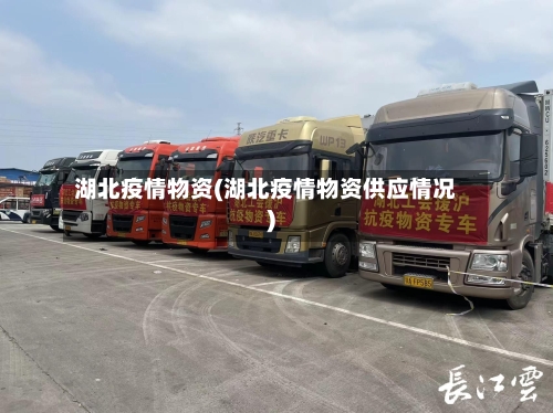 湖北疫情物资(湖北疫情物资供应情况)-第1张图片