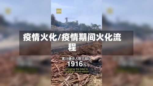 疫情火化/疫情期间火化流程-第1张图片