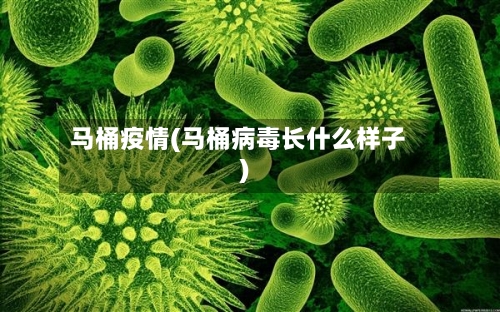 马桶疫情(马桶病毒长什么样子)-第1张图片