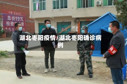 湖北枣阳疫情/湖北枣阳确诊病例-第3张图片