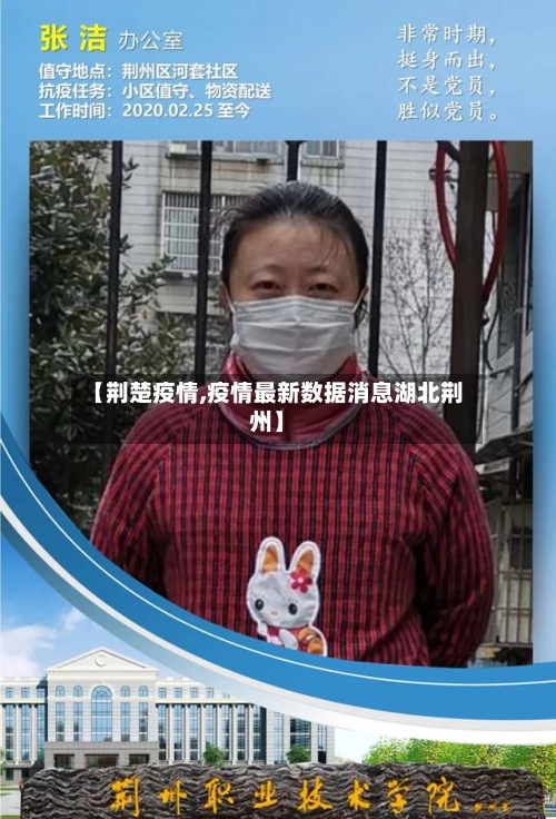 【荆楚疫情,疫情最新数据消息湖北荆州】-第2张图片