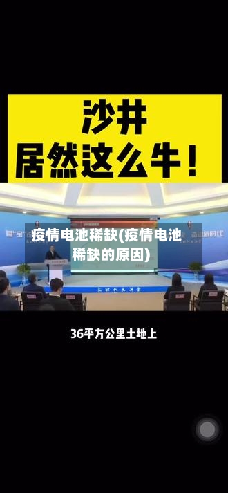 疫情电池稀缺(疫情电池稀缺的原因)-第3张图片