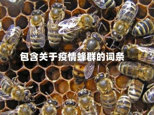 包含关于疫情蜂群的词条-第1张图片
