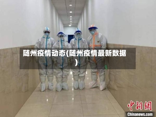 随州疫情动态(随州疫情最新数据)-第1张图片