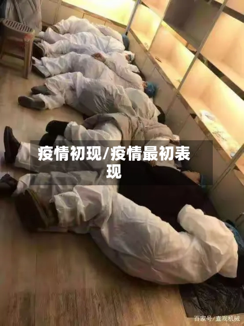 疫情初现/疫情最初表现-第2张图片