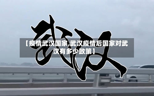 【疫情武汉国家,武汉疫情后国家对武汉有多少政策】-第2张图片