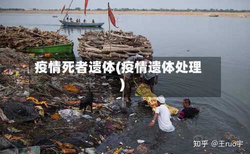 疫情死者遗体(疫情遗体处理)-第1张图片