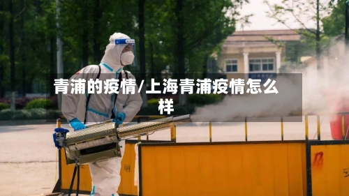 青浦的疫情/上海青浦疫情怎么样-第2张图片