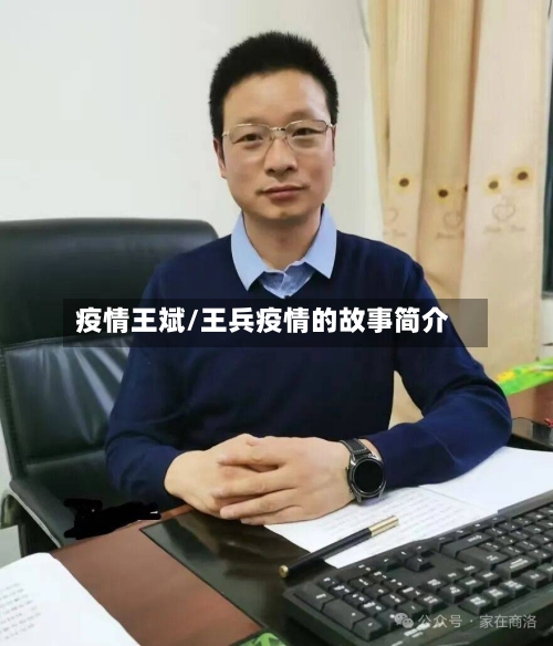 疫情王斌/王兵疫情的故事简介-第1张图片