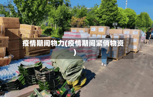 疫情期间物力(疫情期间紧俏物资)-第2张图片