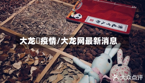 大龙燚疫情/大龙网最新消息-第1张图片