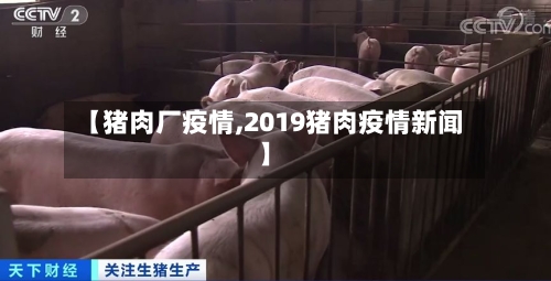 【猪肉厂疫情,2019猪肉疫情新闻】-第1张图片