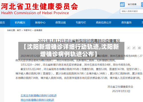 【沈阳新增确诊详细行动轨迹,沈阳新增确诊病例轨迹公布】-第1张图片