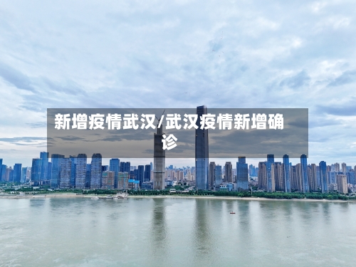 新增疫情武汉/武汉疫情新增确诊-第2张图片
