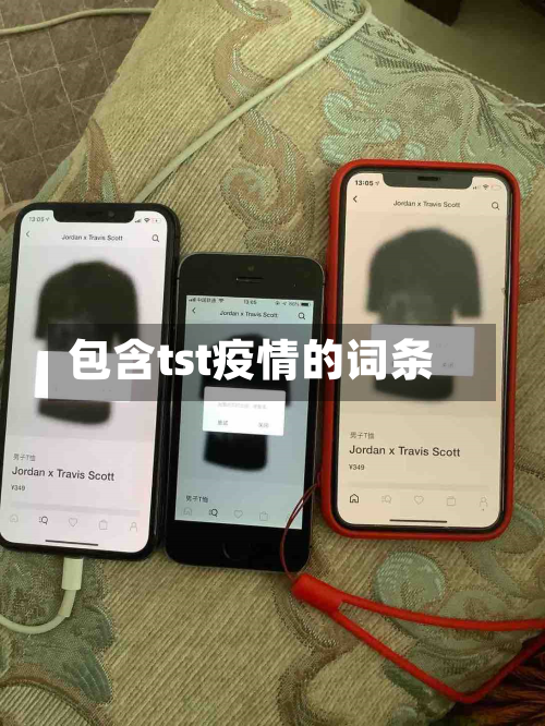 包含tst疫情的词条-第3张图片