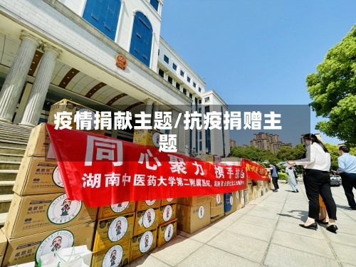 疫情捐献主题/抗疫捐赠主题-第1张图片