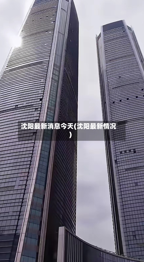 沈阳最新消息今天(沈阳最新情况)-第3张图片