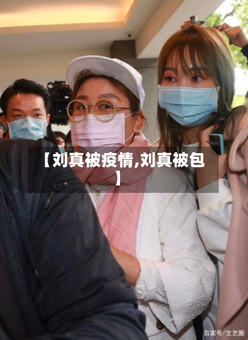 【刘真被疫情,刘真被包】-第2张图片