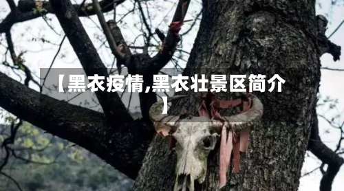 【黑衣疫情,黑衣壮景区简介】-第3张图片