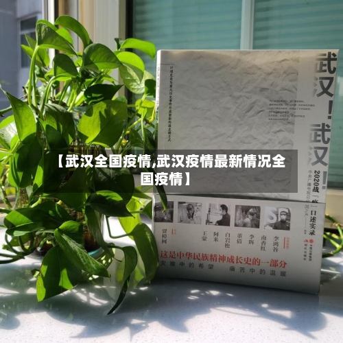 【武汉全国疫情,武汉疫情最新情况全国疫情】-第3张图片