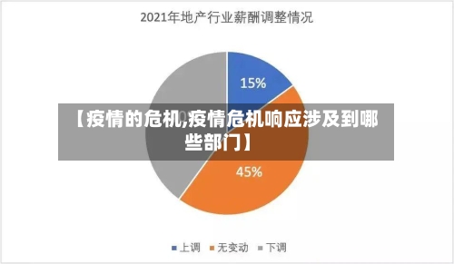 【疫情的危机,疫情危机响应涉及到哪些部门】-第2张图片