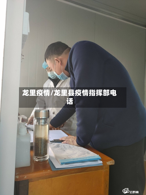 龙里疫情/龙里县疫情指挥部电话-第2张图片