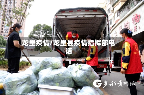 龙里疫情/龙里县疫情指挥部电话-第1张图片