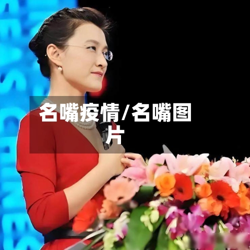 名嘴疫情/名嘴图片-第1张图片