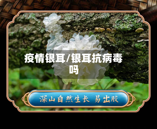疫情银耳/银耳抗病毒吗-第2张图片