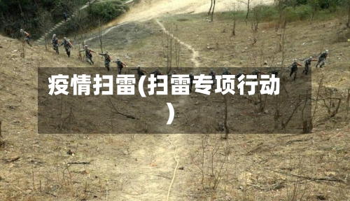 疫情扫雷(扫雷专项行动)-第2张图片