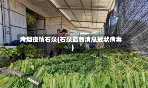 烤烟疫情石泉(石泉最新消息冠状病毒)-第1张图片