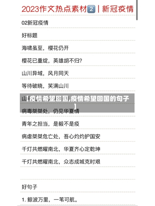 【疫情希望回国,疫情希望回国的句子】-第3张图片