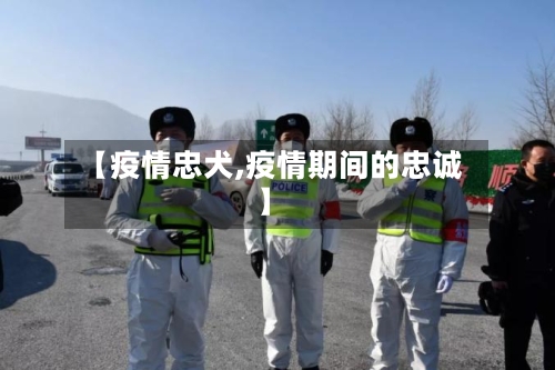 【疫情忠犬,疫情期间的忠诚】-第2张图片