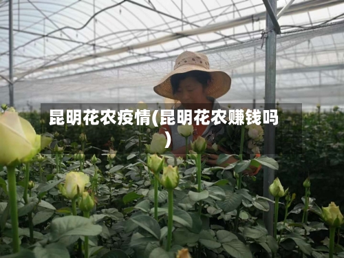 昆明花农疫情(昆明花农赚钱吗)-第2张图片