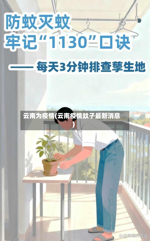 云南为疫情(云南疫情蚊子最新消息)-第1张图片