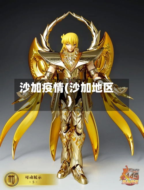 沙加疫情(沙加地区)-第2张图片