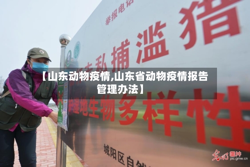 【山东动物疫情,山东省动物疫情报告管理办法】-第1张图片