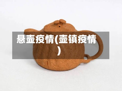 悬壶疫情(壶镇疫情)-第1张图片