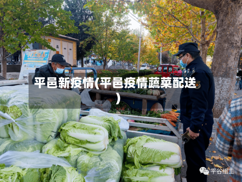 平邑新疫情(平邑疫情蔬菜配送)-第1张图片