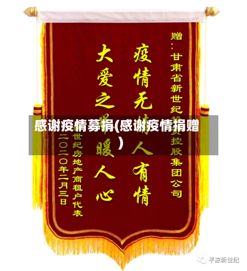 感谢疫情募捐(感谢疫情捐赠)-第3张图片