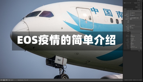 EOS疫情的简单介绍-第2张图片
